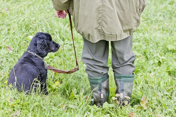 Охотничья собака с охотником — стоковое фото