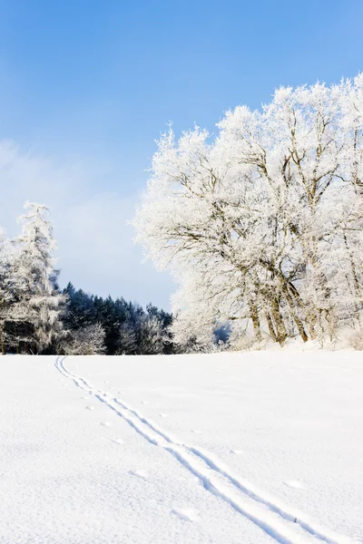 冬季景观，捷克共和国 — 图库照片