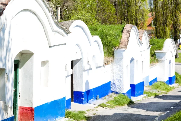 Винные погреба, Петров - Пльце, Чехия — стоковое фото
