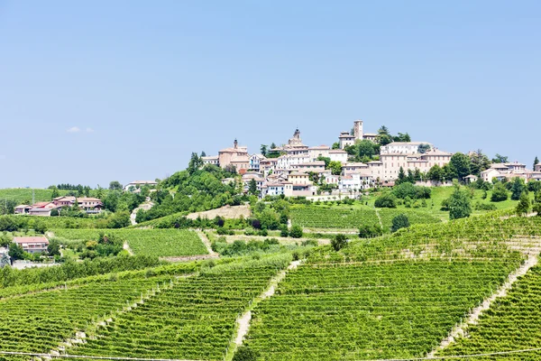 Neive wth vinice, Piemont, Itálie — Stock fotografie