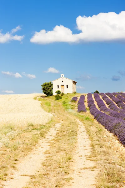 Chapelle avec champs de lavande et de céréales, Plateau de Valensole, Pro — Photo