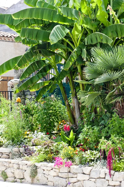 Garden in Greoux-les-Bains, Provence, France — Stock Photo, Image