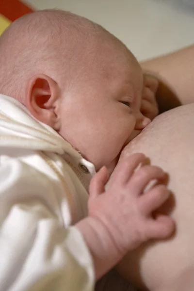 젖 먹이 아기 — 스톡 사진