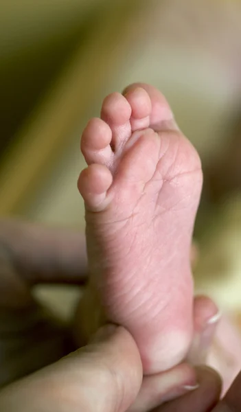 Hand hält den Fuß des Babys — Stockfoto