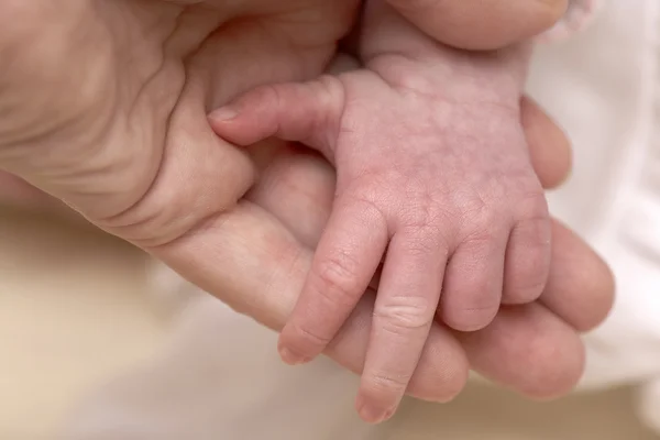 Hand holding baby's hand — Stock Photo, Image