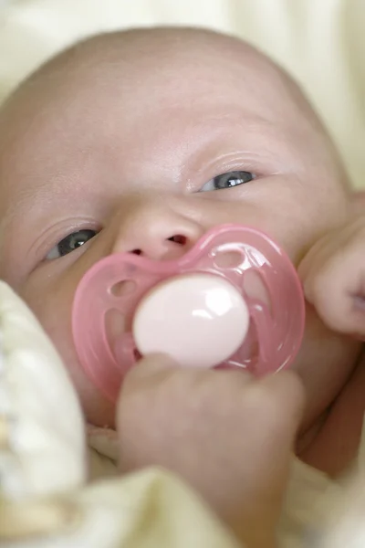 One month old baby — Stock Photo, Image