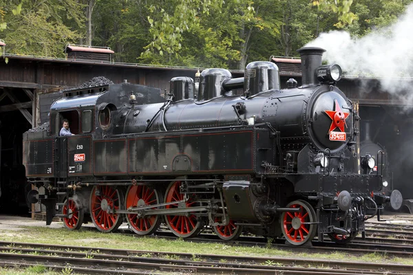 Steam locomotive, depot Köszeg u Rakovnika, Csehország — Stock Fotó