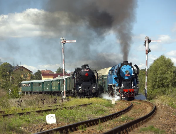 Ατμού τρένα από το σταθμό krupa, ατμάμαξα ονομάζεται παπαγάλος — Φωτογραφία Αρχείου
