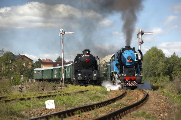 Trenes de vapor desde la estación de Krupa, locomotora de vapor llamada Loro — Foto de Stock