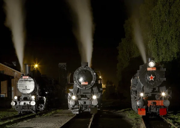 Demiryolu Müzesi, luzna u rakovnika, Çek Cumhuriyeti — Stok fotoğraf
