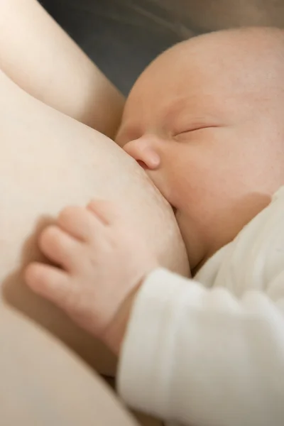 Alăptarea bebelușului — Fotografie, imagine de stoc