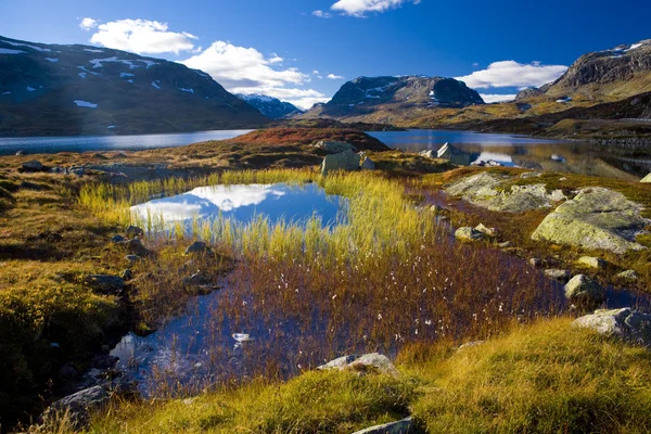 Landschap van Zuid vestlandet, Noorwegen — Stockfoto
