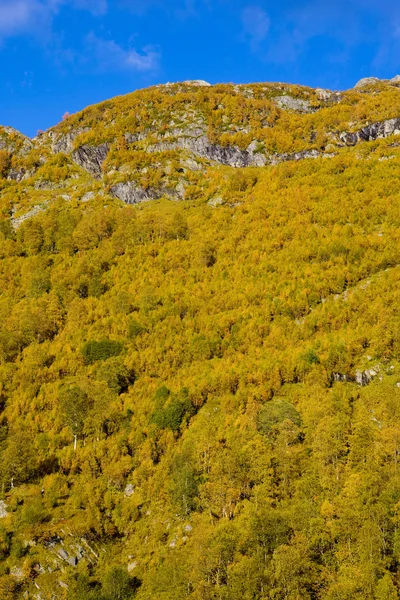 Landskapet i södra vestlandet, Norge — Stockfoto