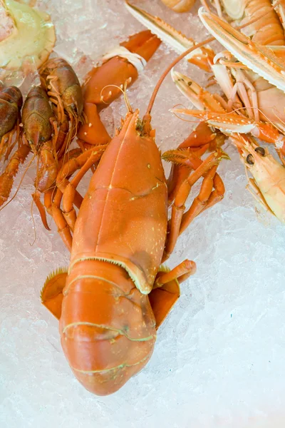 stock image Lobsters