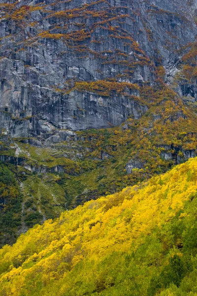 Пейзаж рядом с ледником Мелкволлбрин, Национальный парк Йостедальсбрин — стоковое фото