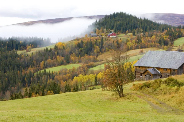 Jotunhejme 国家公园，挪威的区域 — 图库照片