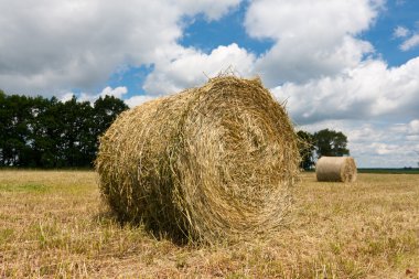 Haystacks on the filed clipart