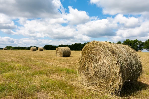 Haystack on a field — Stock Photo, Image
