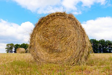 filed in bulutlu gün haystacks