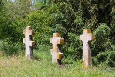 Old crosses on cemetery in forest clipart