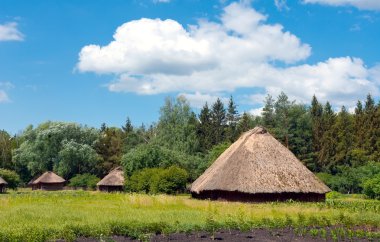 Houses with straw foof clipart