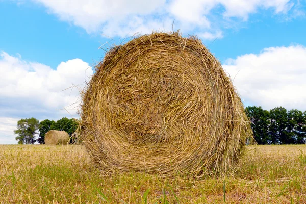 Haystacks on the filed in cloudy day — Stock Photo, Image