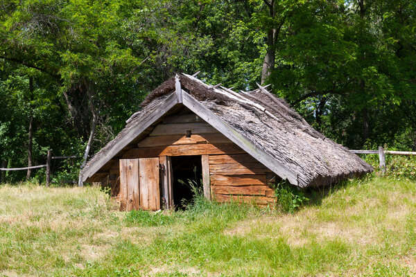 Old wooden shed in forest