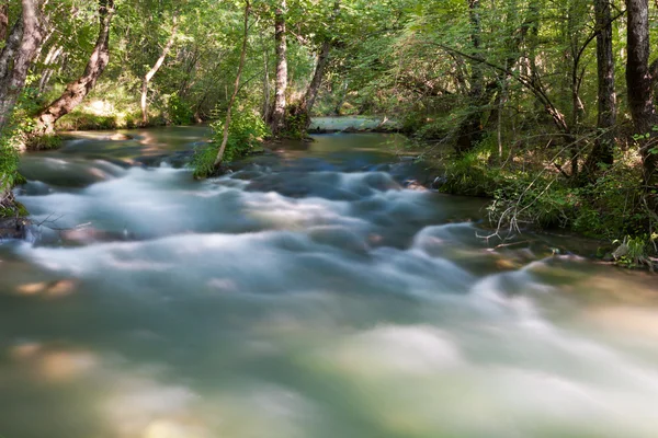 Река в лесу — стоковое фото