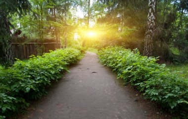 Pathway in park clipart