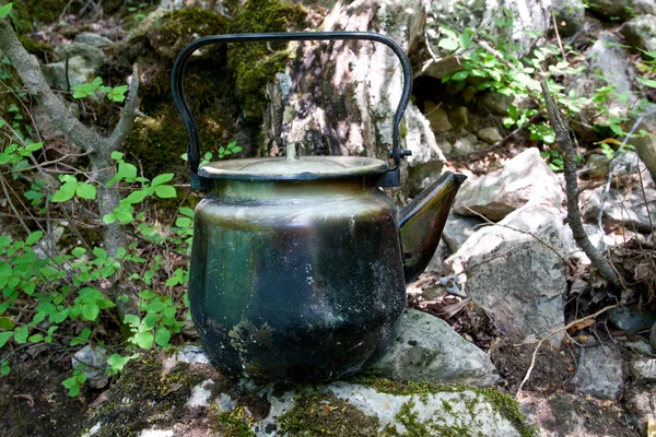 在森林里的石头上的水壶 — 图库照片