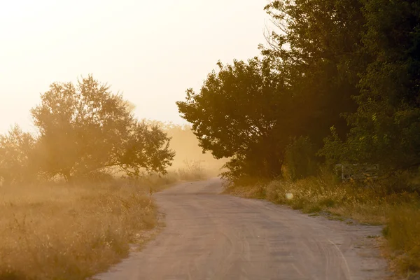 Дорога в тумане — стоковое фото