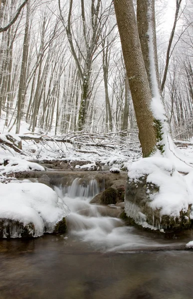 Река в зимнем лесу — стоковое фото