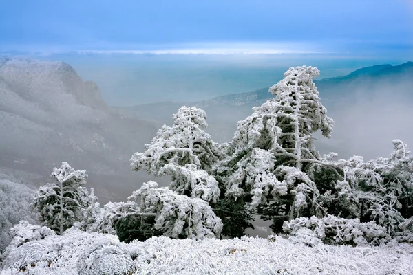 Zimní scéna v horách — Stock fotografie