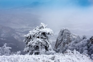 Winter scene in crimean mountains clipart