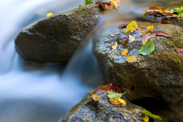 Jesień strumienia — Zdjęcie stockowe
