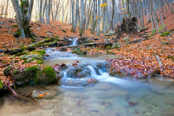 Rivière de montagne en forêt d'automne — Photo