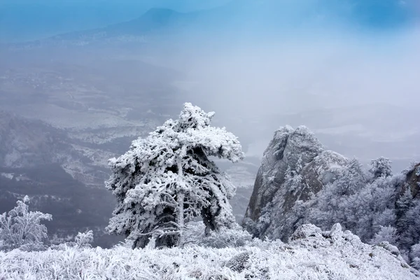Winter scene in crimean mountains — Stock Photo, Image