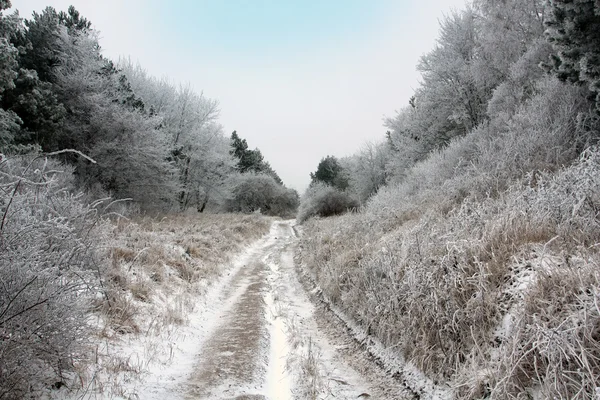 Brudny drogi w lesie zimą — Zdjęcie stockowe