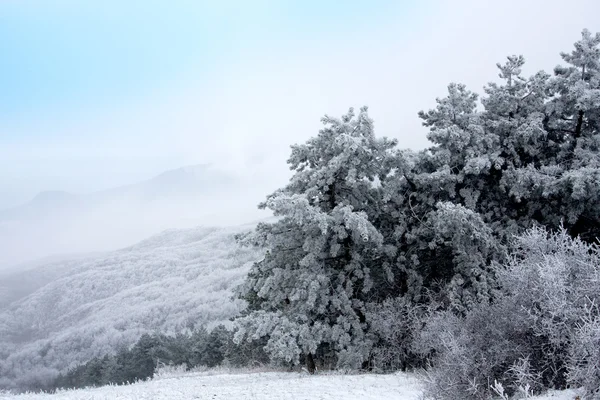 Winter scene in mountains — Stock Photo, Image