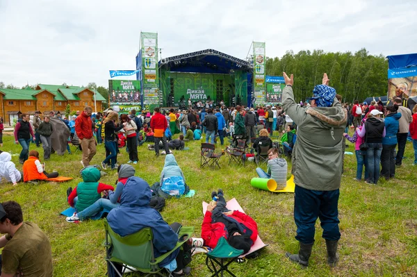Ethnic music "Wild Mint" Festival — Stock Photo, Image