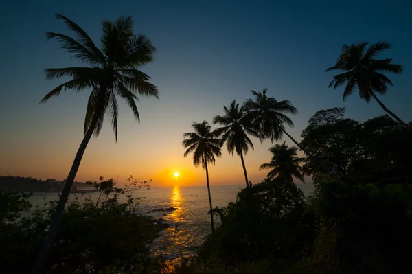 Piękny wschód słońca tropikalny — Zdjęcie stockowe