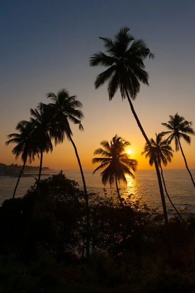 Beautiful tropical sunrise — Stock Photo, Image