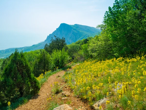 Paesaggio di montagna estivo nel Crimea — Foto Stock