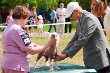 Dog show clipart