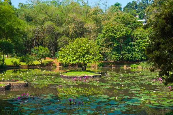 Botanical Garden landscape — Stock Photo, Image