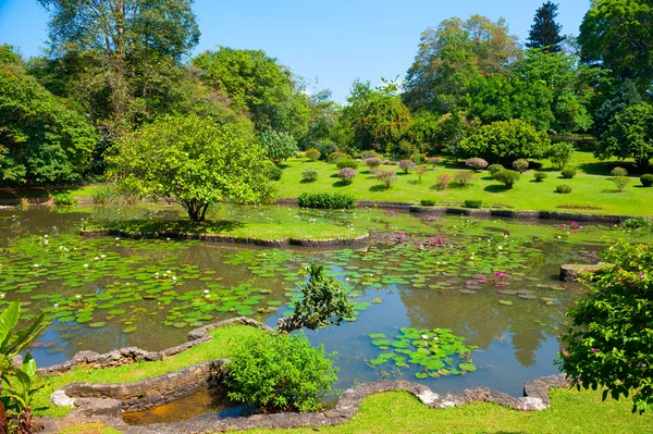 Botaniska trädgården landskap — Stockfoto