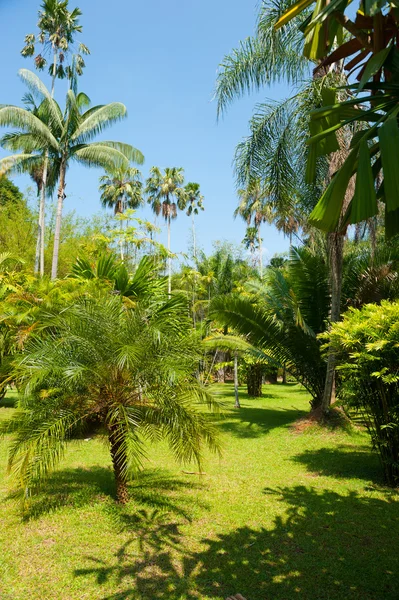 Botanical Garden landscape — Stock Photo, Image