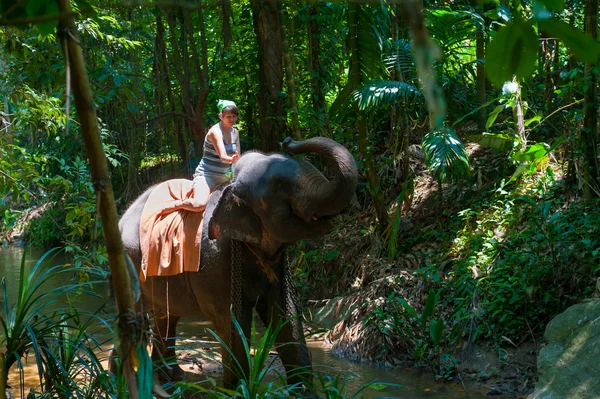 Frau reitet auf einem Elefanten — Stockfoto