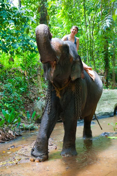 Donna che cavalca un elefante — Foto Stock