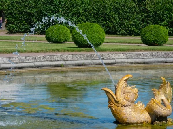 Golden fountain dolphin with flowing water. — Stock Photo, Image